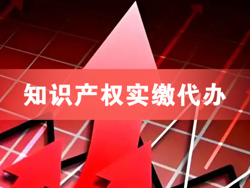 武汉知识产权实缴资本代办